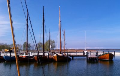 d307.jpg