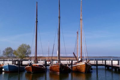 d308.jpg