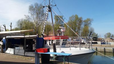 d309.jpg