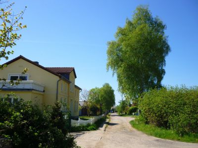 die270.JPG