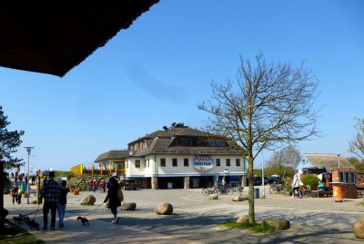 wu206_28229.JPG