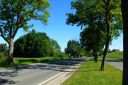 sb110_28229.JPG